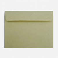 Various styles customized size gummed colored envelope